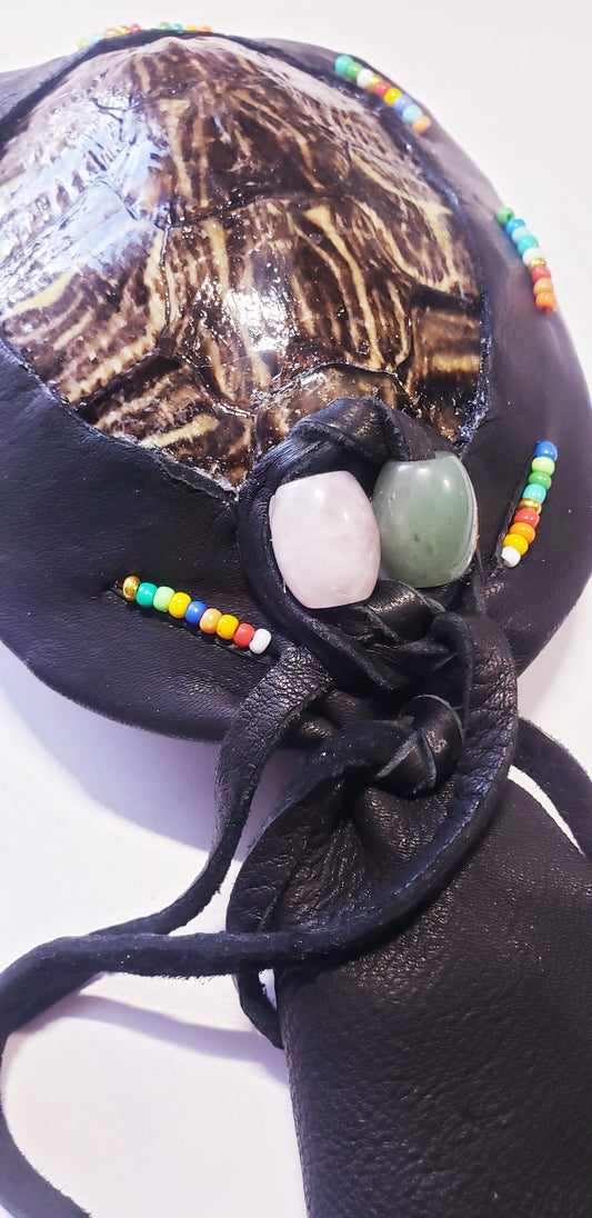 RED EARED SLIDER TURTLE RATTLE (custom order for Jennifer)