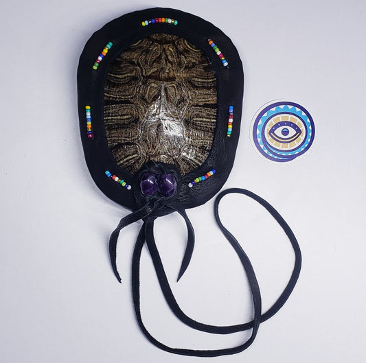 RED EARED SLIDER TURTLE RATTLE (custom order reserved for GG)