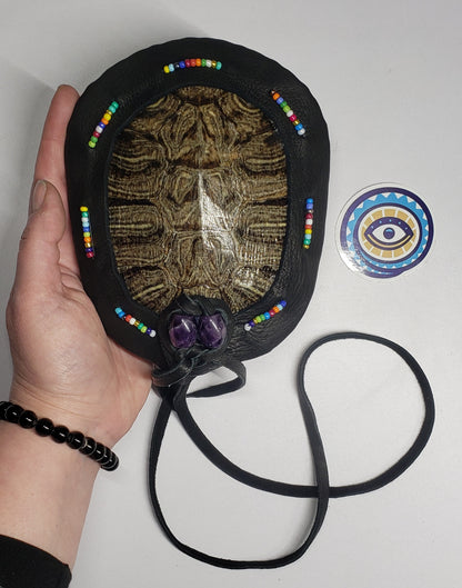 RED EARED SLIDER TURTLE RATTLE (custom order reserved for GG)