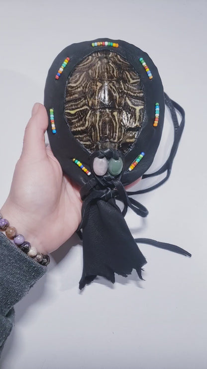 RED EARED SLIDER TURTLE RATTLE (custom order for Jennifer)