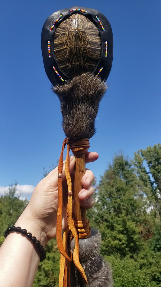 RED EARED SLIDER TURTLE RATTLE (Reserved for Pat)