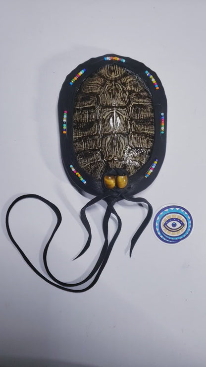 RED EARED SLIDER TURTLE RATTLE (custom order reserved for Tina)