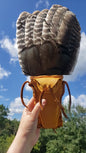 SMUDGE FAN
