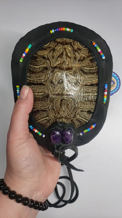 RED EARED SLIDER TURTLE RATTLE (custom order reserved for GG)