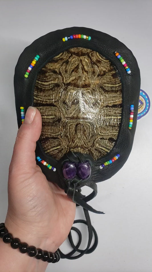 RED EARED SLIDER TURTLE RATTLE (custom order reserved for GG)